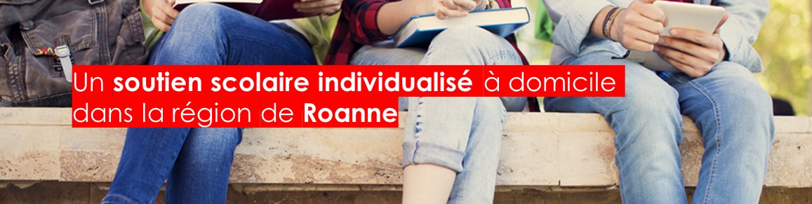 Bandeau-site-JSONlocalbusiness-Roanne