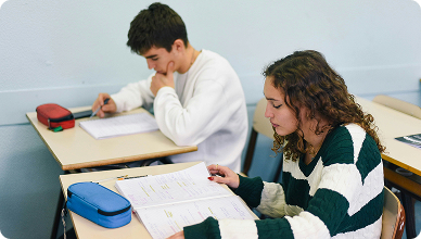 Préparation aux examens / concours à Roanne